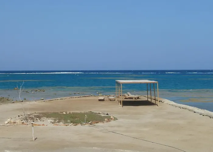 Diving Station - Reef Konukevi Marsa Alem
