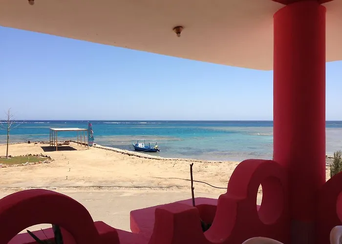 Diving Station - Reef