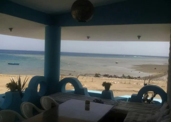Konukevi Diving Station - Reef