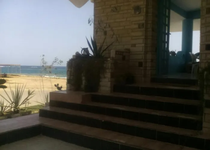 Diving Station - Reef *